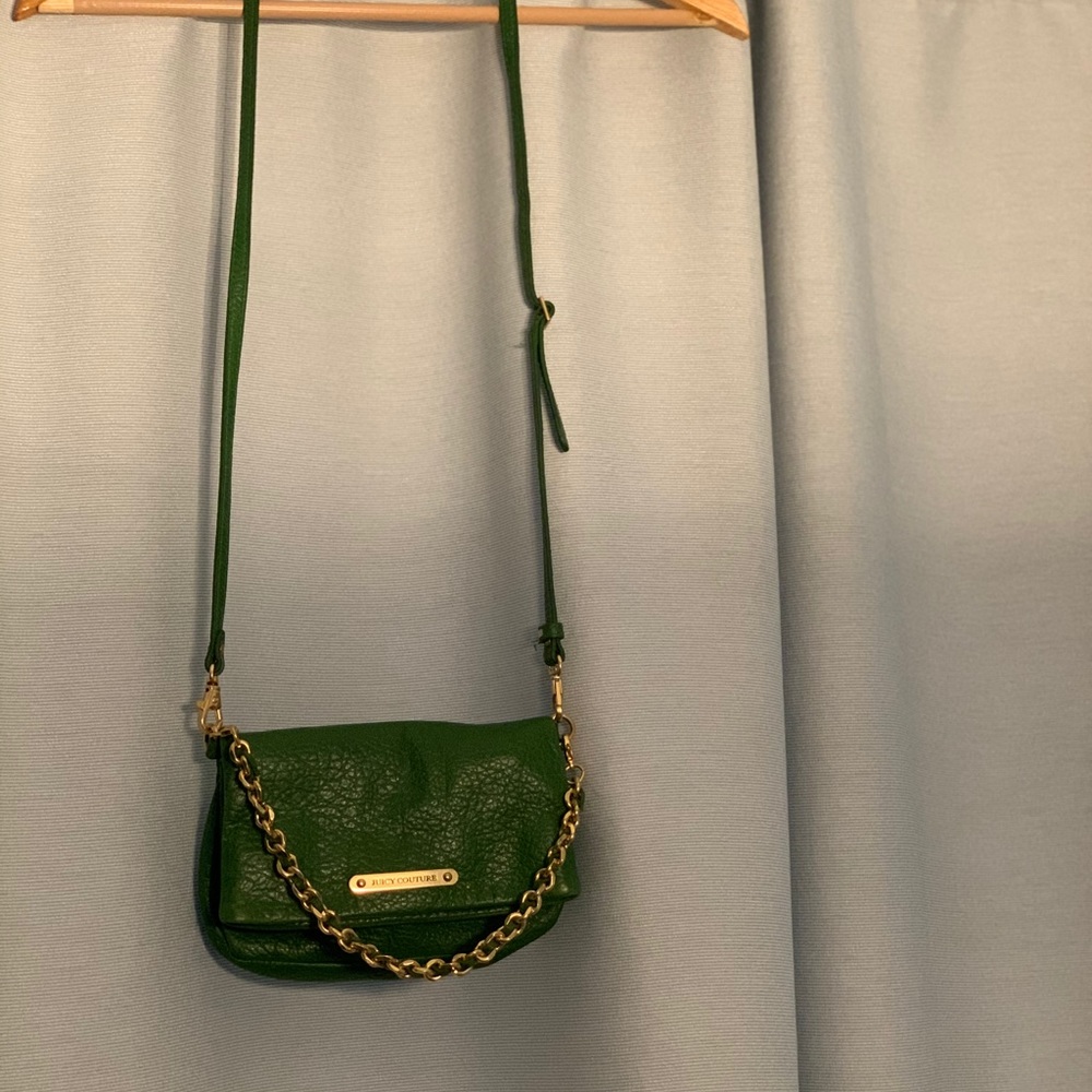 Juicy Couture small green leather purse/clutch - Picture 4 of 6